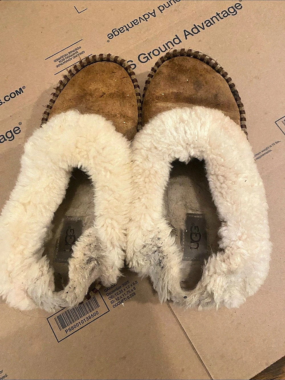UGG Scuffette II Slippers in Brown & White